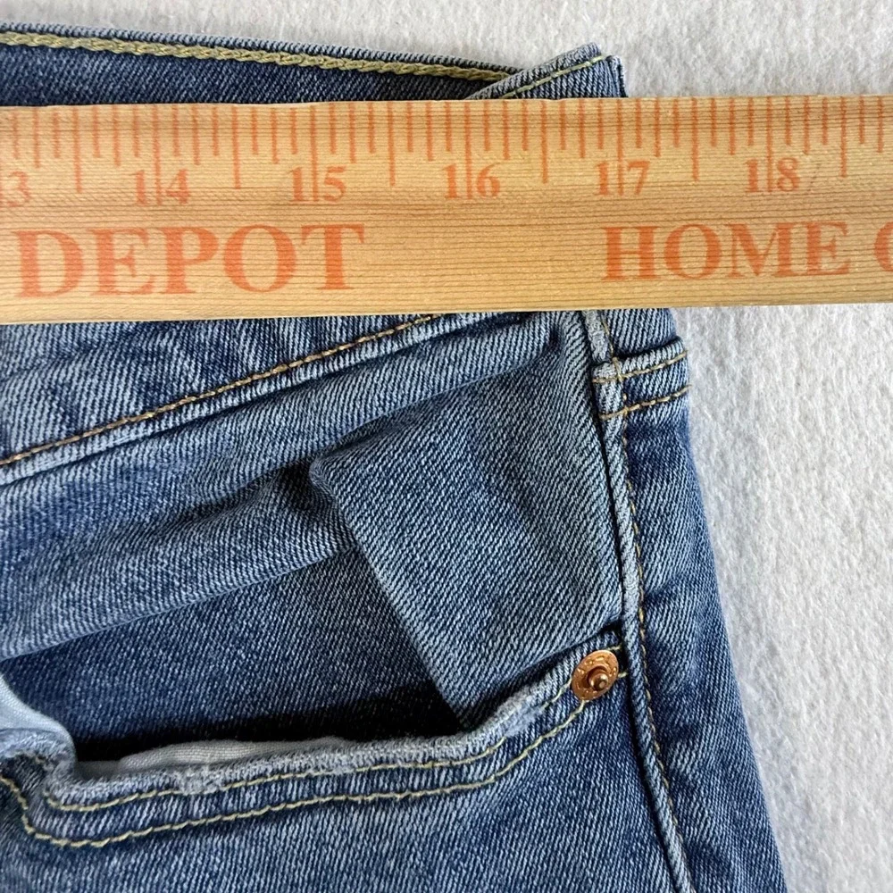 Levis levi 527